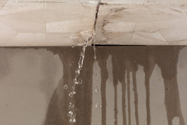 Professional Burst Pipe Cleanup technician working in Edon, OH